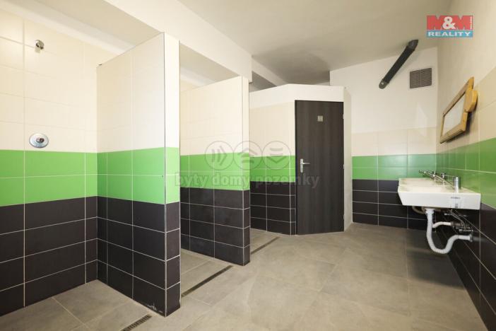 Pronájem komerční nemovitosti, Dalovice, Botanická, 300 m2