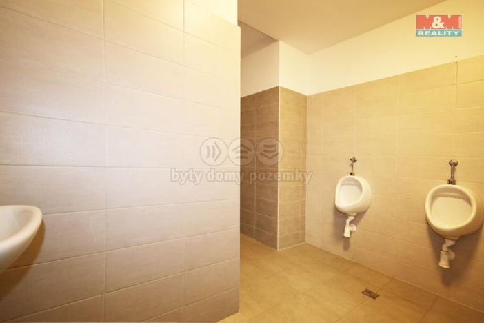 Pronájem komerční nemovitosti, Dalovice, Botanická, 300 m2