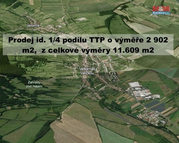 Prodej trvalého travního porostu, Velká nad Veličkou, 2902 m2