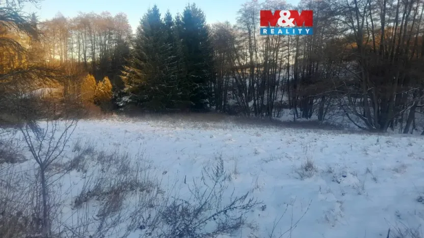 Prodej trvalého travního porostu, Oselce - Kotouň, 19732 m2