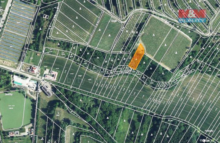 Prodej trvalého travního porostu, Němčičky, 1125 m2