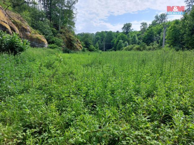 Prodej louky, Vysoká, 1003 m2