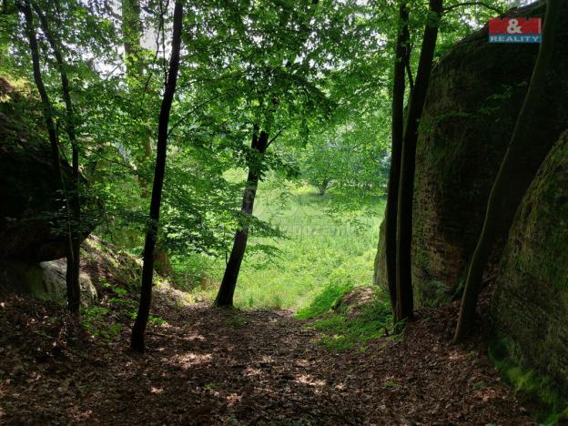 Prodej louky, Vysoká, 1003 m2