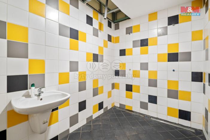 Prodej obchodního prostoru, Ústí nad Labem - Střekov, Truhlářova, 3086 m2