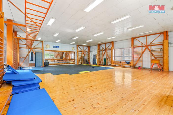 Prodej obchodního prostoru, Ústí nad Labem - Střekov, Truhlářova, 3086 m2