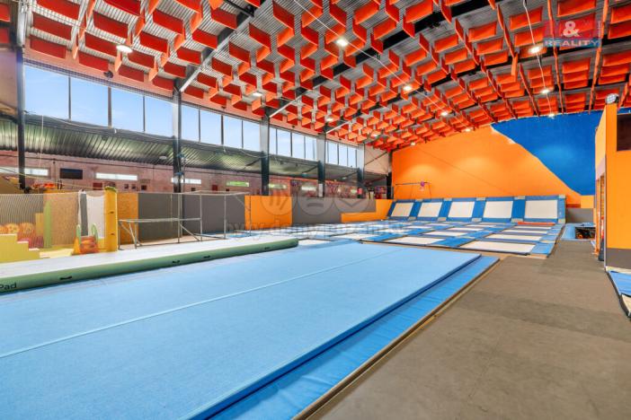 Prodej obchodního prostoru, Ústí nad Labem - Střekov, Truhlářova, 3086 m2