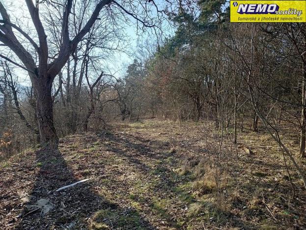 Prodej pozemku, Vlachovo Březí, 1999 m2