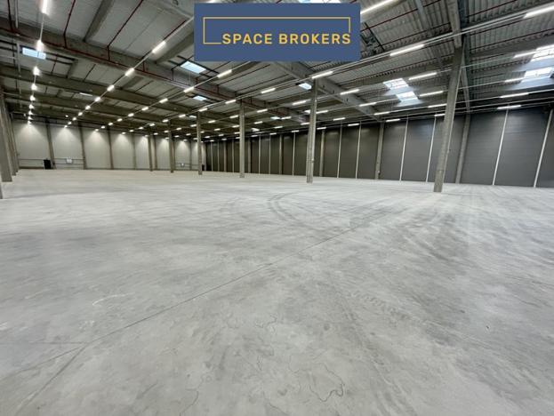 Pronájem skladu, Pardubice, 7823 m2