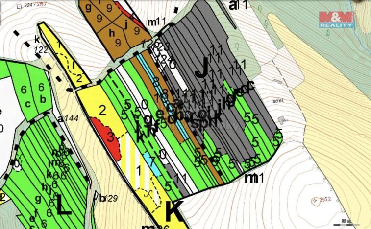 Prodej lesa, Bojkovice, 8088 m2