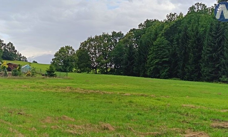 Prodej pozemku pro bydlení, Hracholusky, 4398 m2