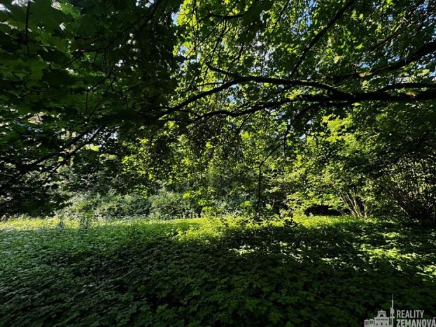 Prodej pozemku pro bydlení, Roztoky, Tiché údolí, 7834 m2