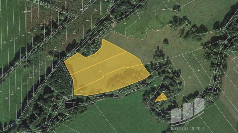 Prodej trvalého travního porostu, Janovice nad Úhlavou - Petrovice nad Úhlavou, 17049 m2