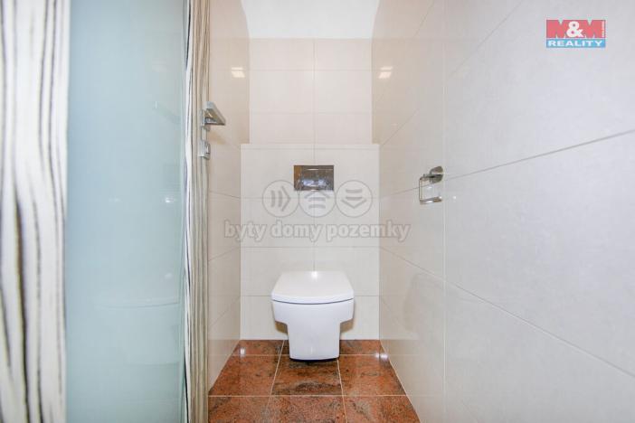 Prodej rodinného domu, Cheznovice, 269 m2