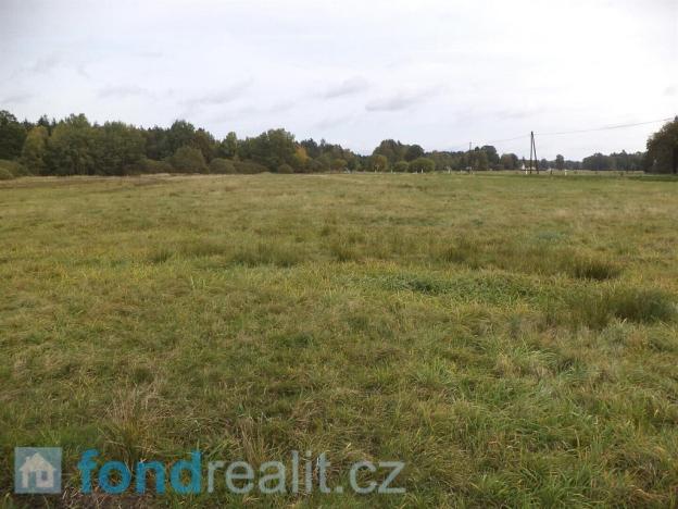 Prodej zemědělské půdy, Nová Ves nad Lužnicí, 30010 m2