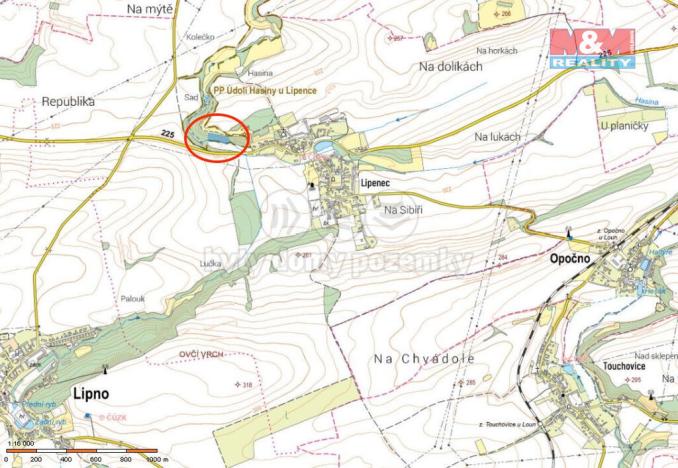 Prodej lesa, Lipno - Lipenec, 6203 m2