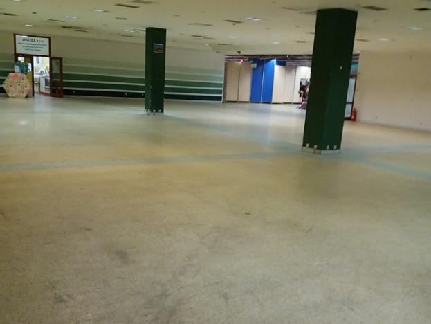 Pronájem obchodního prostoru, České Budějovice, Lannova tř., 100 m2