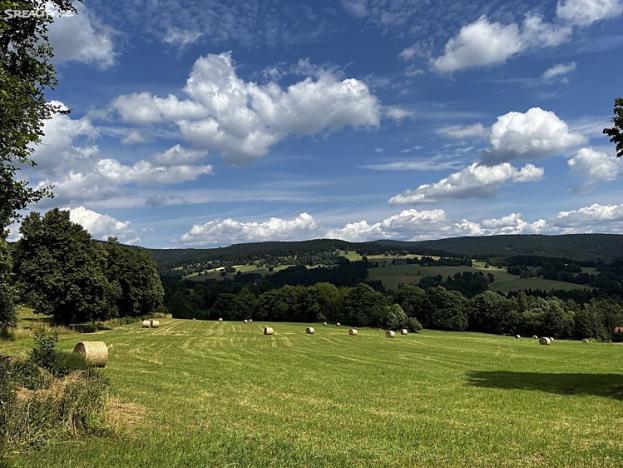 Prodej pozemku pro bydlení, Říčky v Orlických horách, 13380 m2