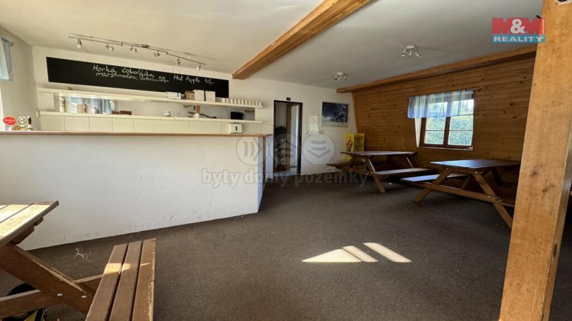 Prodej komerční nemovitosti, Plavy, 180 m2