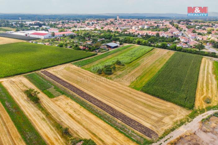 Prodej pole, Podivín, 2005 m2