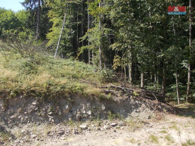 Prodej chaty, Pstruží, 36 m2