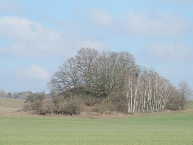 Prodej pozemku, Brniště, 5359 m2