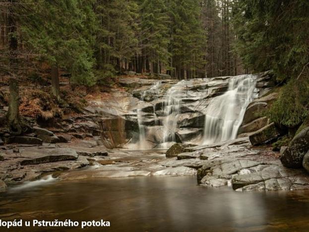 Prodej zahrady, Světlá nad Sázavou, 4237 m2