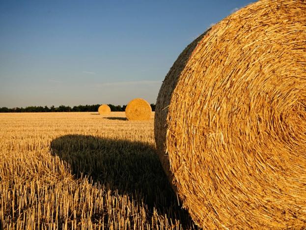 Prodej podílu zemědělské půdy, Odřepsy, 1478 m2