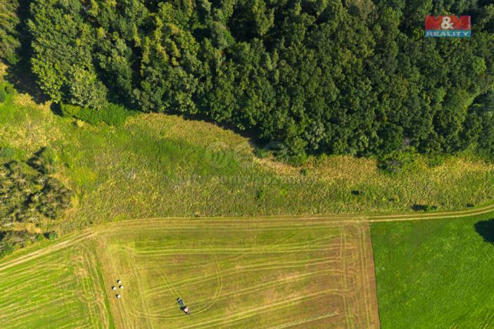 Prodej zemědělské usedlosti, Hracholusky - Obora, 301 m2