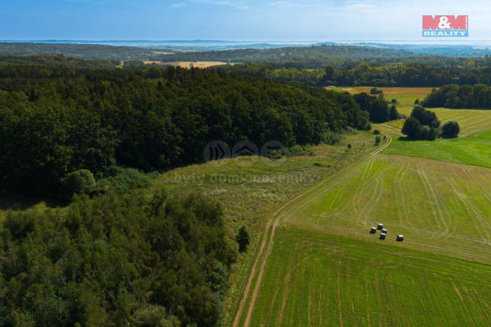 Prodej zemědělské usedlosti, Hracholusky - Obora, 301 m2