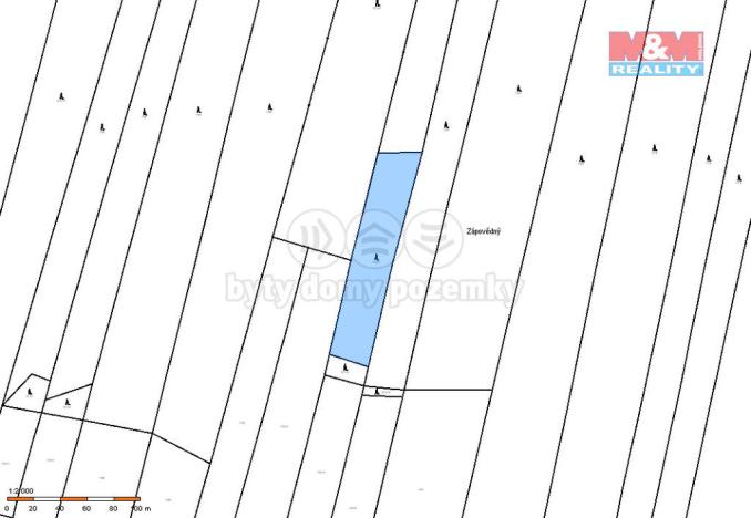 Prodej lesa, Jetětice, 4993 m2