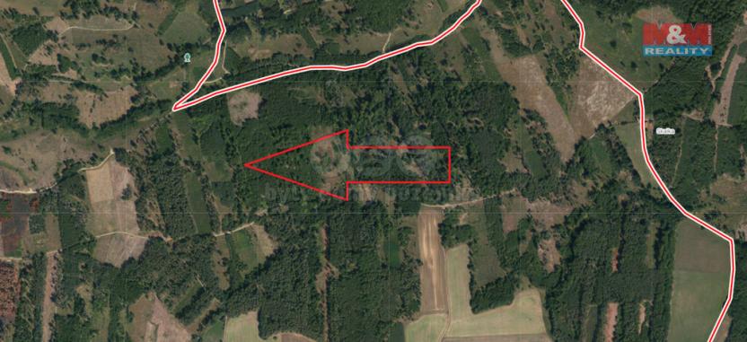 Prodej lesa, Jetětice, 7736 m2