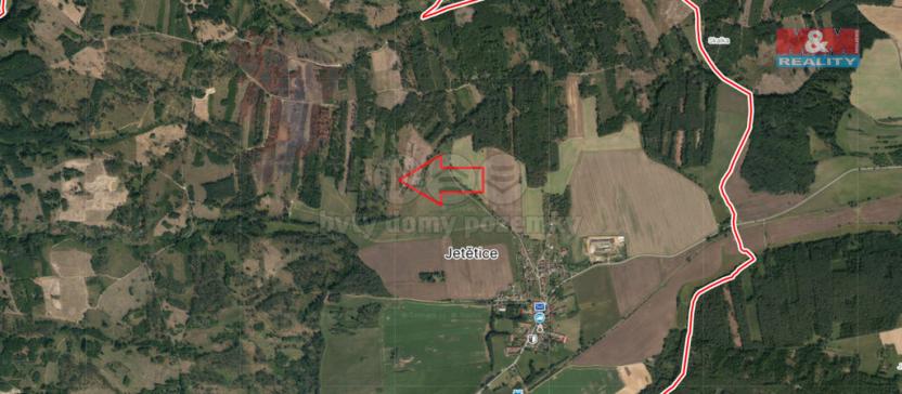 Prodej lesa, Jetětice, 31088 m2