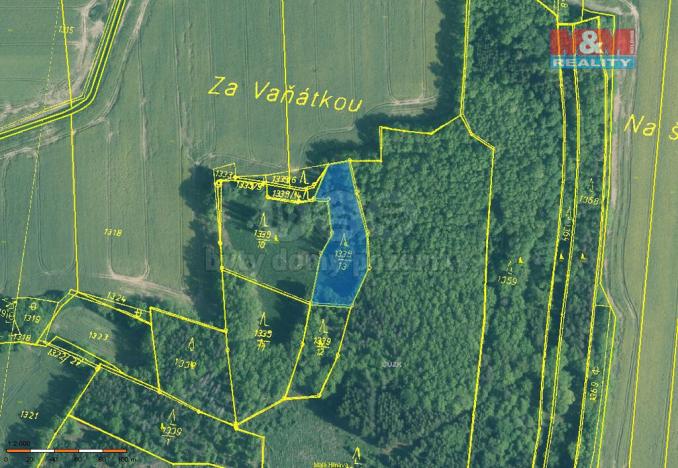 Prodej lesa, Skály, 20093 m2