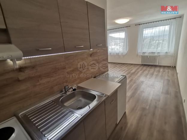 Pronájem bytu 1+kk, Ústí nad Labem - Bukov, Vinařská, 32 m2