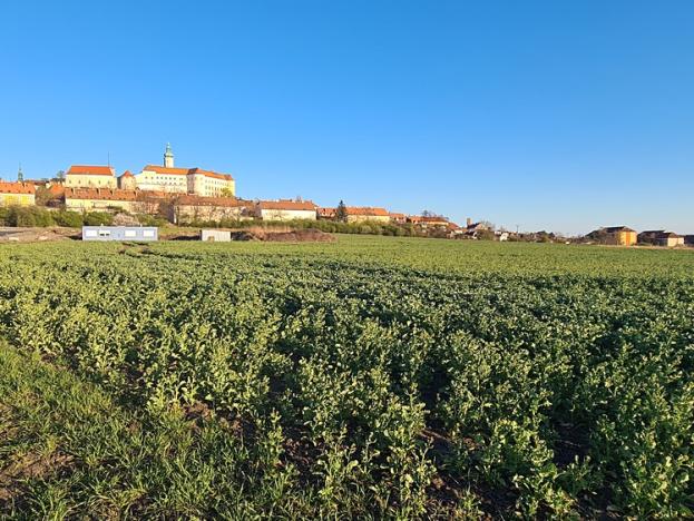 Prodej pozemku pro bydlení, Mikulov, 1018 m2