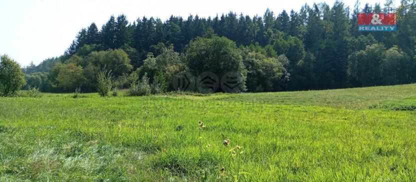 Prodej louky, Chyňava, 11196 m2