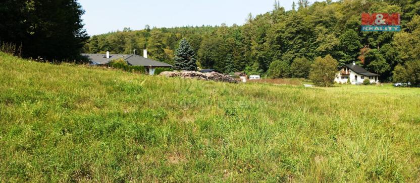 Prodej louky, Chyňava, 11196 m2