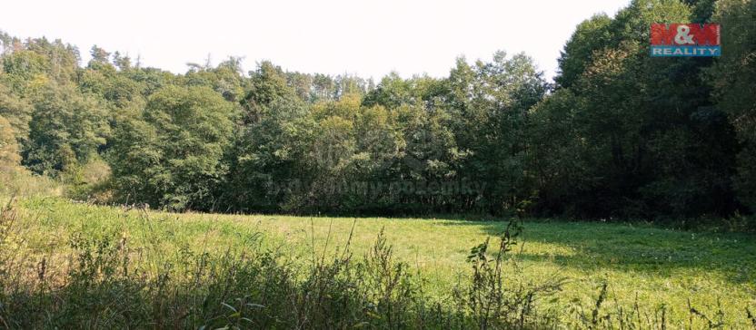 Prodej louky, Chyňava, 11196 m2