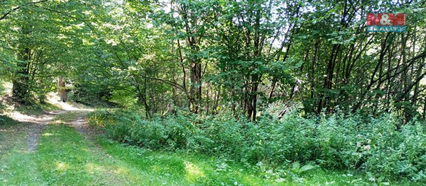 Prodej louky, Chyňava, 11196 m2