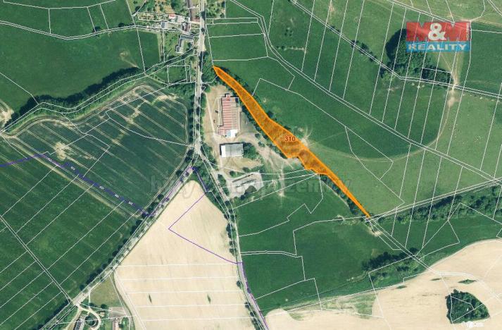 Prodej trvalého travního porostu, Dlažov, 3245 m2