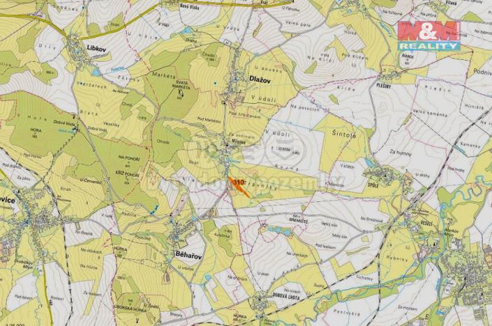 Prodej trvalého travního porostu, Dlažov, 3245 m2