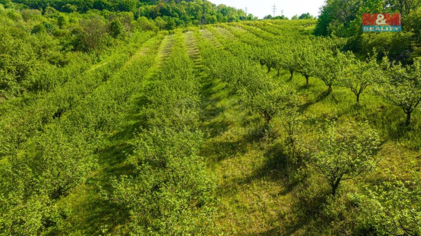 Prodej pole, Roudnice nad Labem, 10048 m2