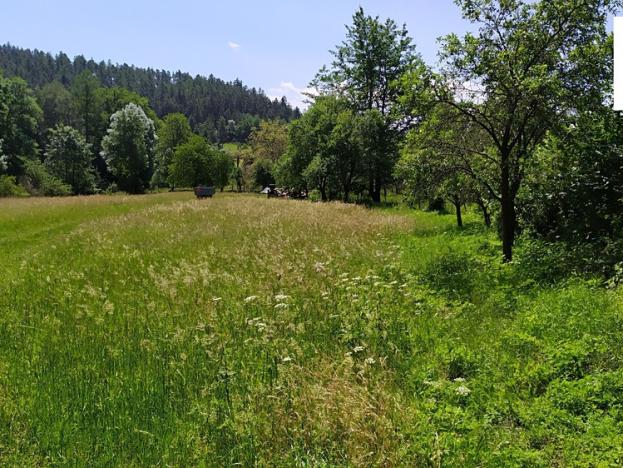 Prodej pozemku, Nalžovské Hory, 1734 m2