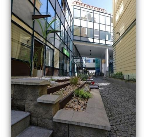 Pronájem obchodního prostoru, Praha - Vinohrady, Chrudimská, 257 m2