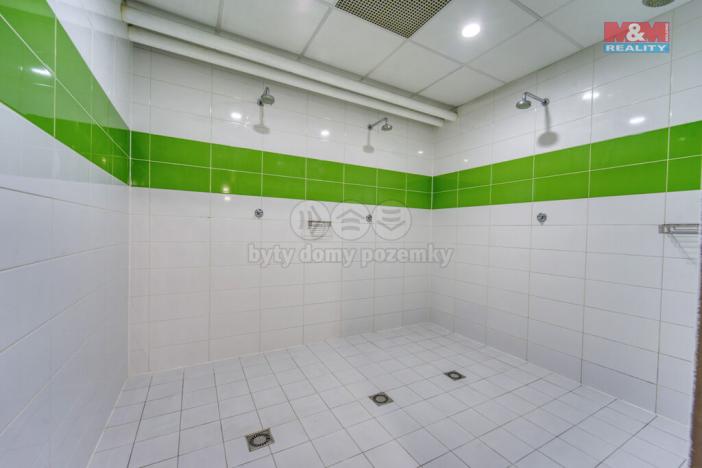 Pronájem skladu, Plzeň - Bolevec, Gerská, 845 m2