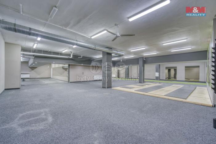 Pronájem výrobních prostor, Plzeň - Bolevec, Gerská, 845 m2