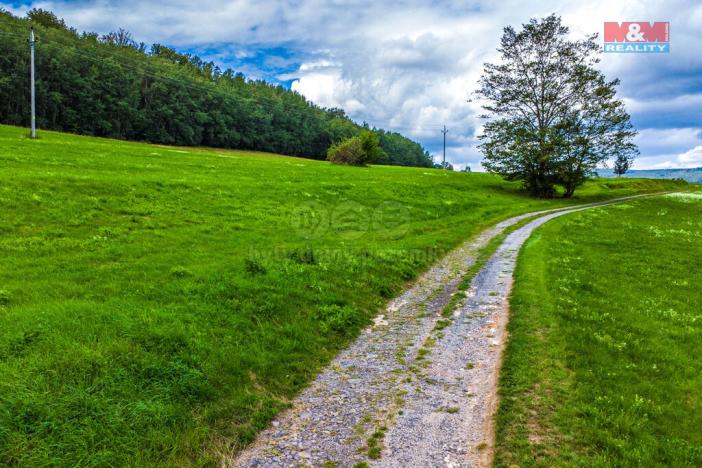 Prodej louky, Chotovice, 65153 m2