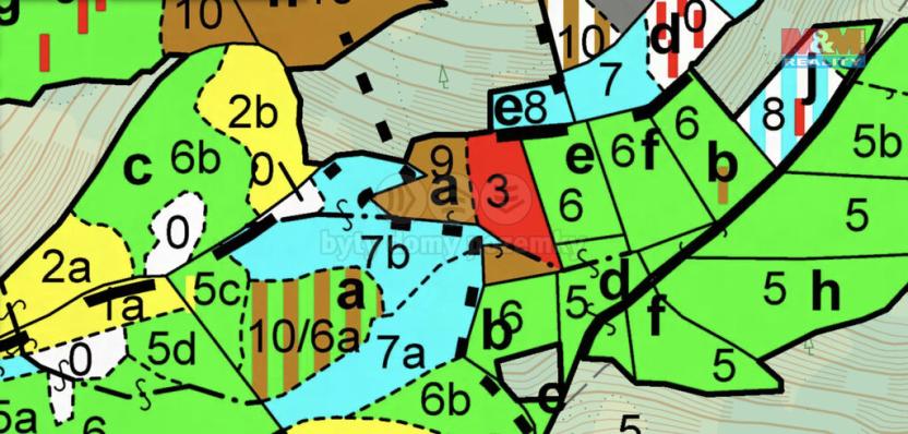 Prodej lesa, Lužná, 5438 m2