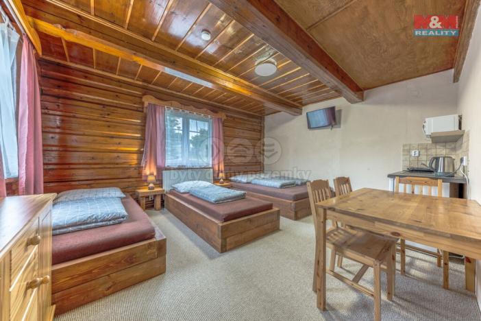 Prodej ubytování, Rokytnice nad Jizerou - Dolní Rokytnice, 500 m2