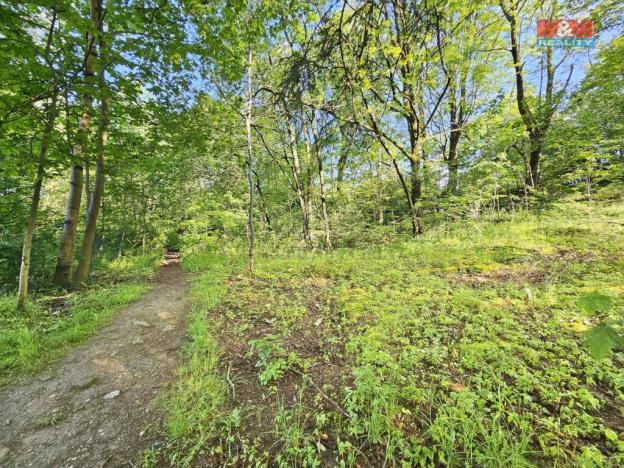 Prodej pozemku pro bydlení, Aš, 9804 m2